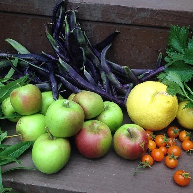 Expert lawn mowing service in San Francisco, CA by Rambunctious Gardens