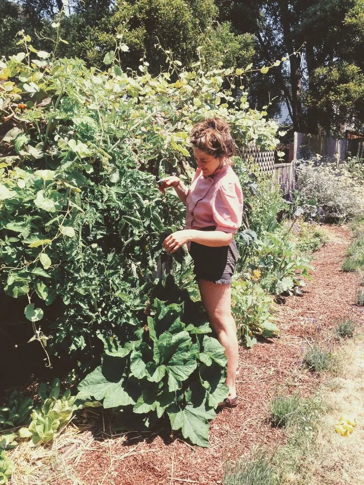 Local landscape design for residential properties in San Francisco, CA by Rambunctious Gardens