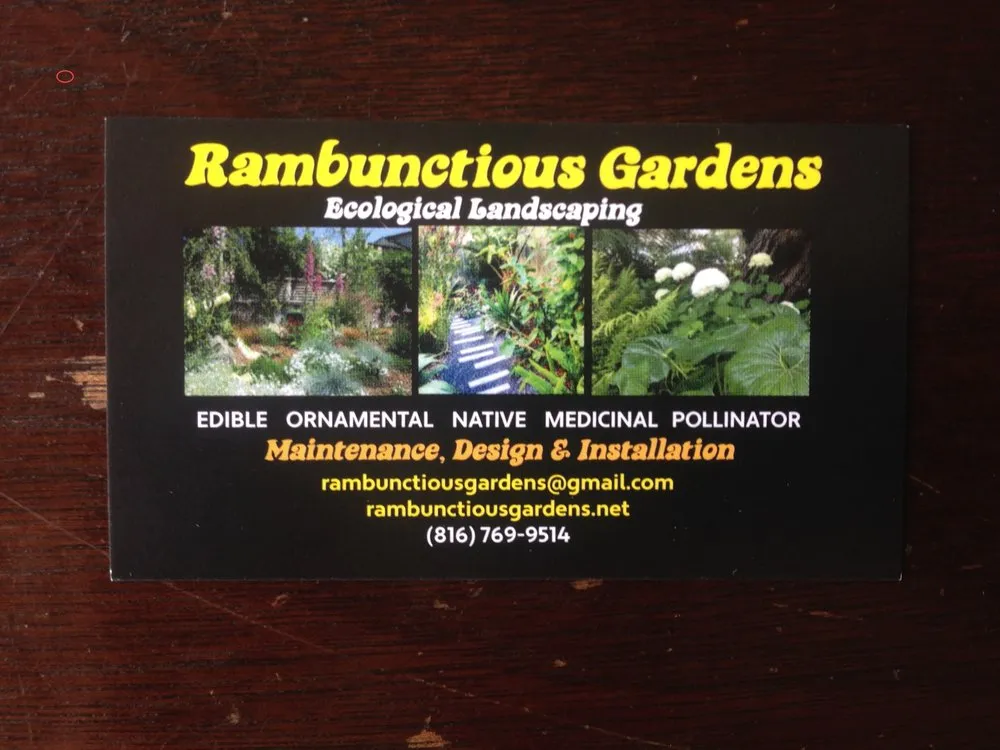 Trusted garden landscaping for residential properties in San Francisco, CA by Rambunctious Gardens