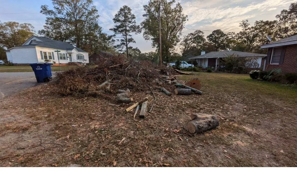 Expert landscape design experts serving Orlando, FL - Ramco Arborist