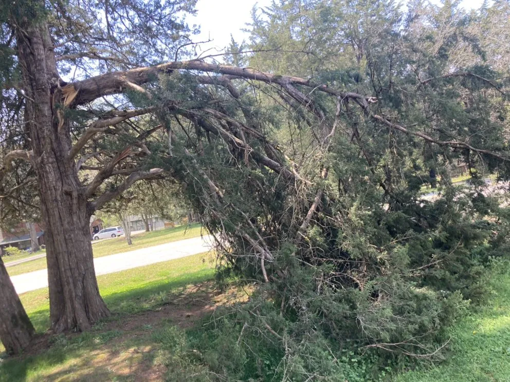 Expert lawn mowing service for beautiful yards across Seneca, SC - Ramey Tree And Lawn Care Service