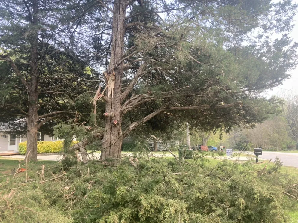 Expert garden landscaping in Seneca, SC by Ramey Tree And Lawn Care Service