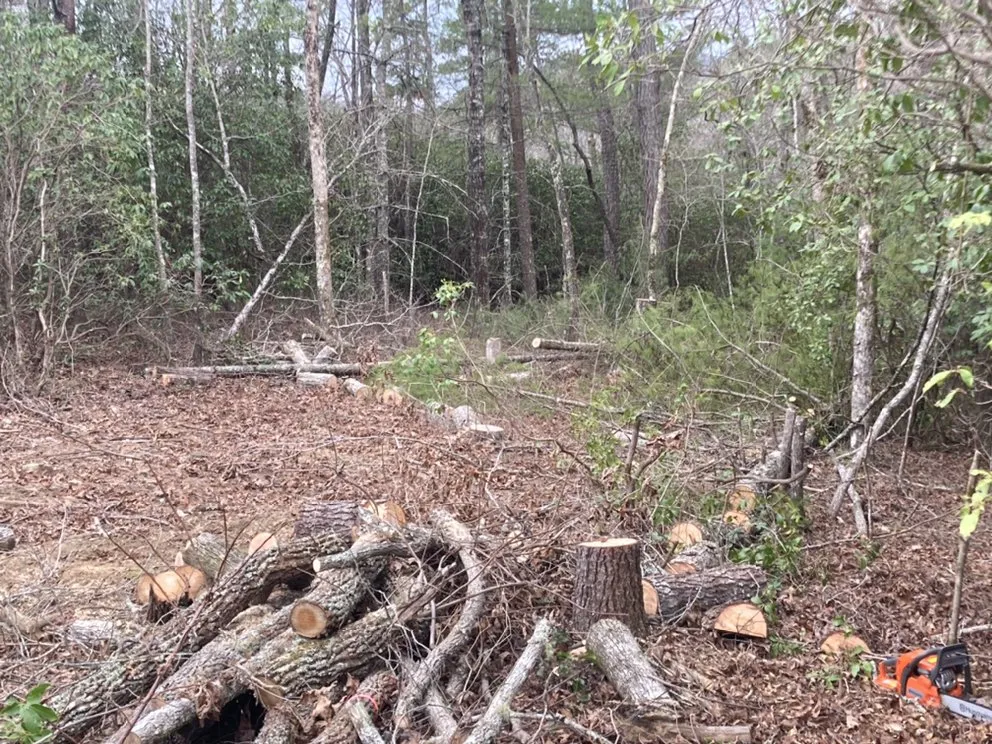 Local lawn care service in Seneca, SC - Ramey Tree And Lawn Care Service