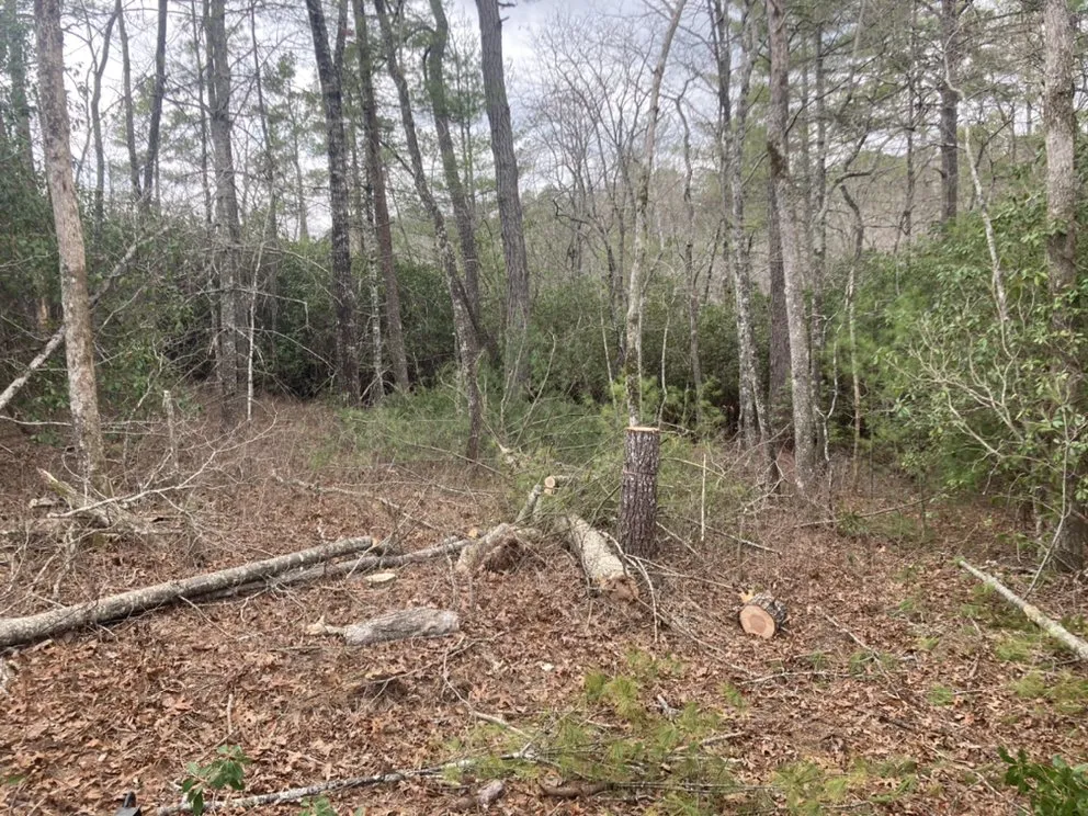 Trusted landscape design in Seneca, SC - Ramey Tree And Lawn Care Service