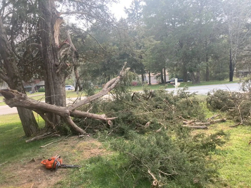 Trusted landscape installation experts serving Seneca, SC - Ramey Tree And Lawn Care Service