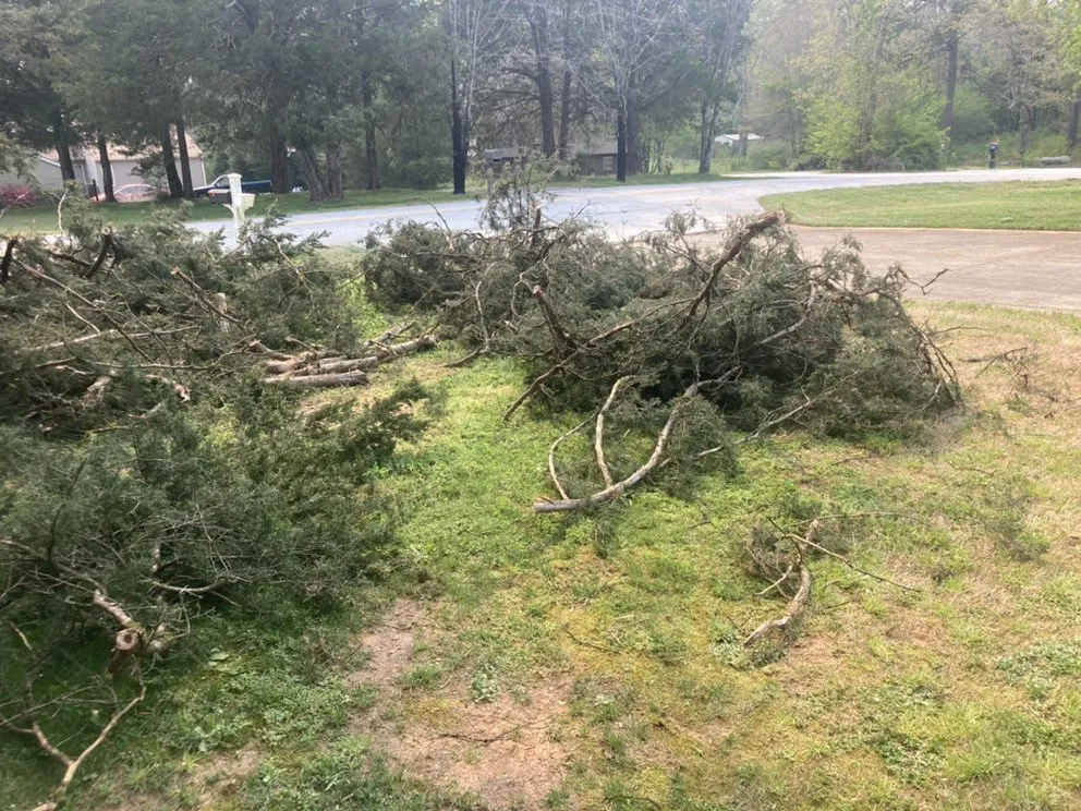 Affordable garden landscaping experts serving Seneca, SC - Ramey Tree And Lawn Care Service