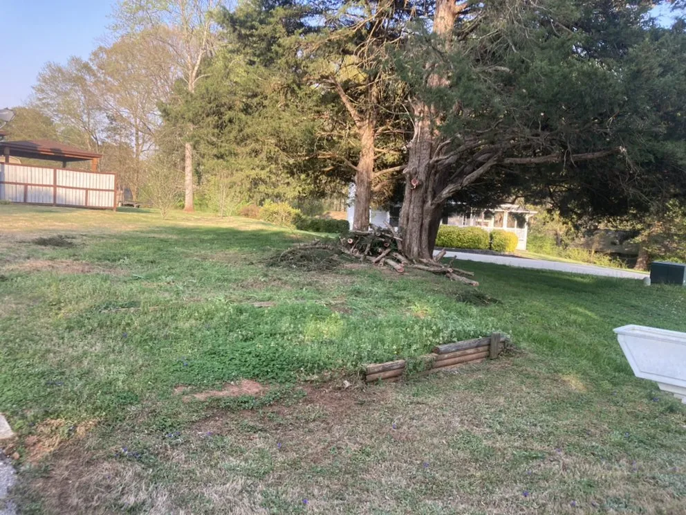 Top-rated yard cleanup service with custom design in Seneca, SC by Ramey Tree And Lawn Care Service