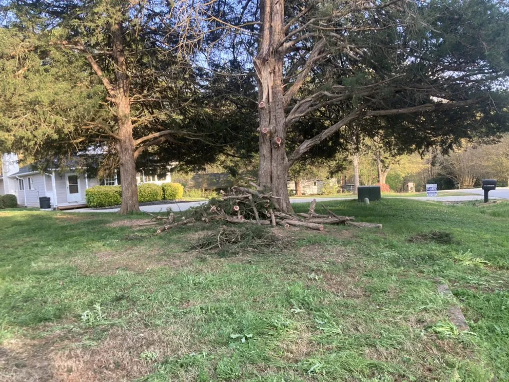 Custom landscape installation in Seneca, SC by Ramey Tree And Lawn Care Service