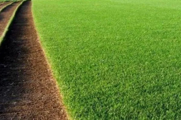 Affordable lawn care service in Columbus, OH by Ramires Landscaping