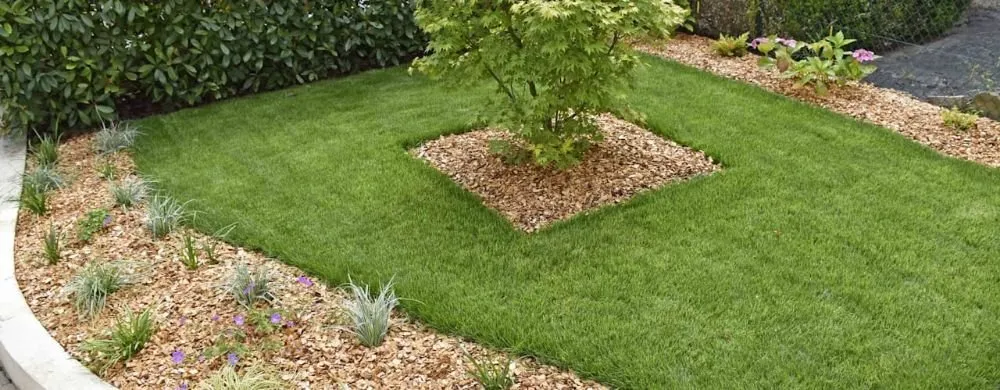 Top-rated landscaping services for residential properties across Fairfield, CA - Ramires Landscaping