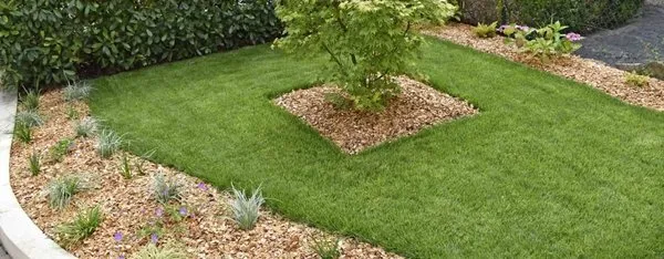 Ramires Landscaping Logo