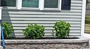 Professional garden landscaping near you across Rio Grande, NJ - Ramirez & Morales Landscaping