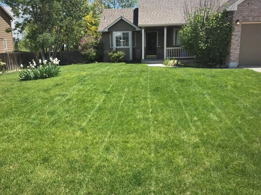 Top-rated residential landscaping in Boulder, CO - Ramirez & Son Lawn Care