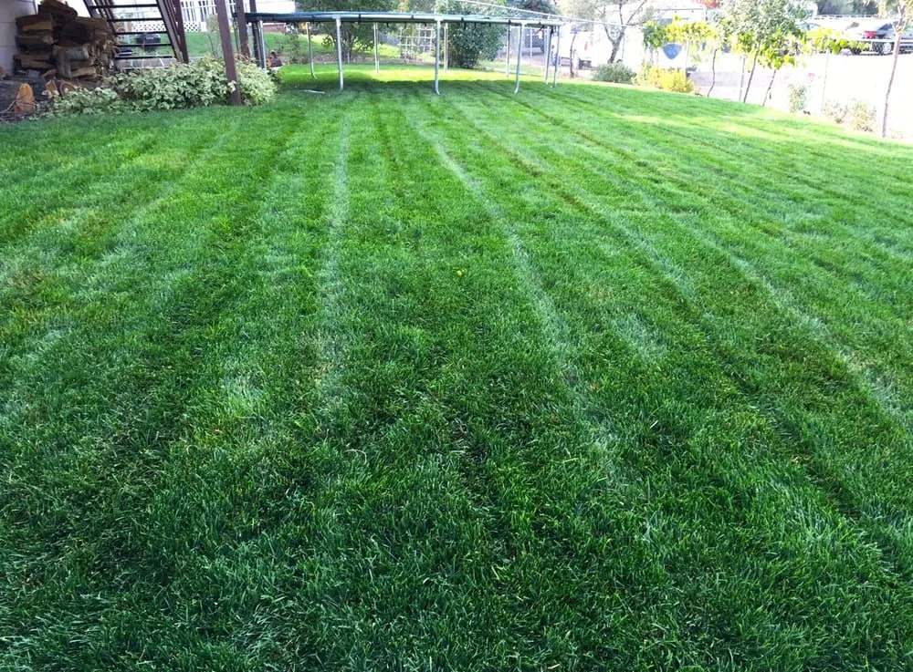 Professional landscape design for year-round maintenance in Boulder, CO by Ramirez & Son Lawn Care