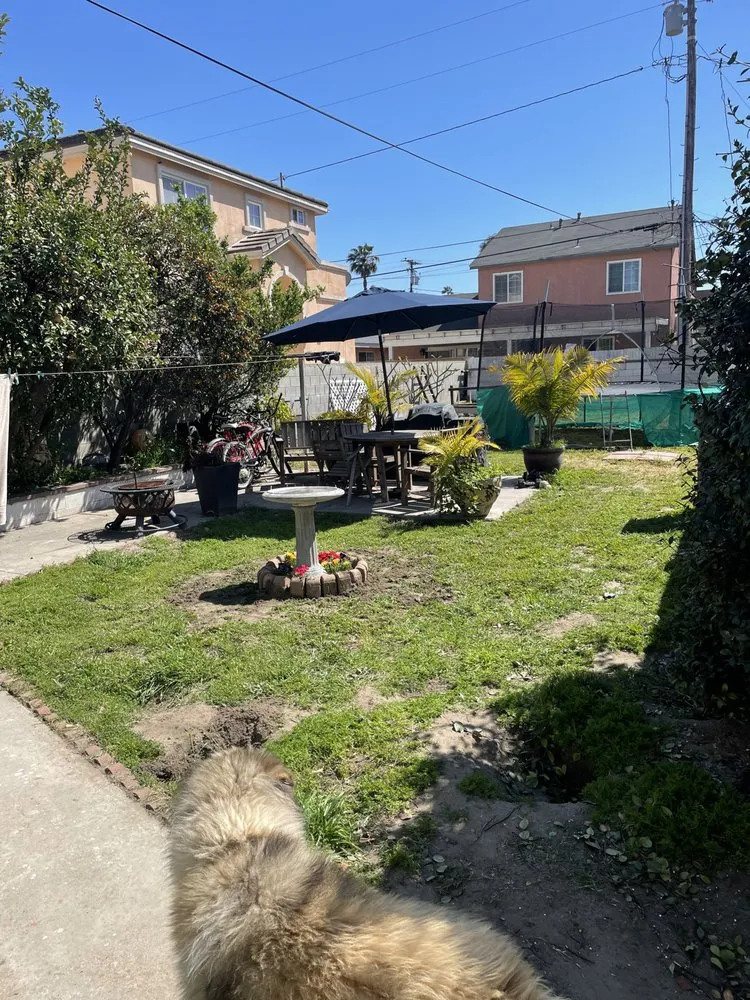 Top-rated outdoor landscaping in Hawaiian Gardens, CA by Ramirez and Ramirez Landscaping