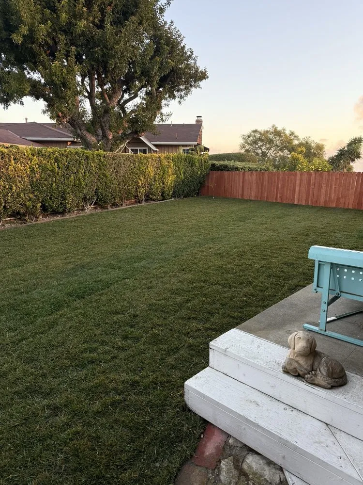 Professional landscape installation experts serving Los Angeles, CA - Ramirez Artscape