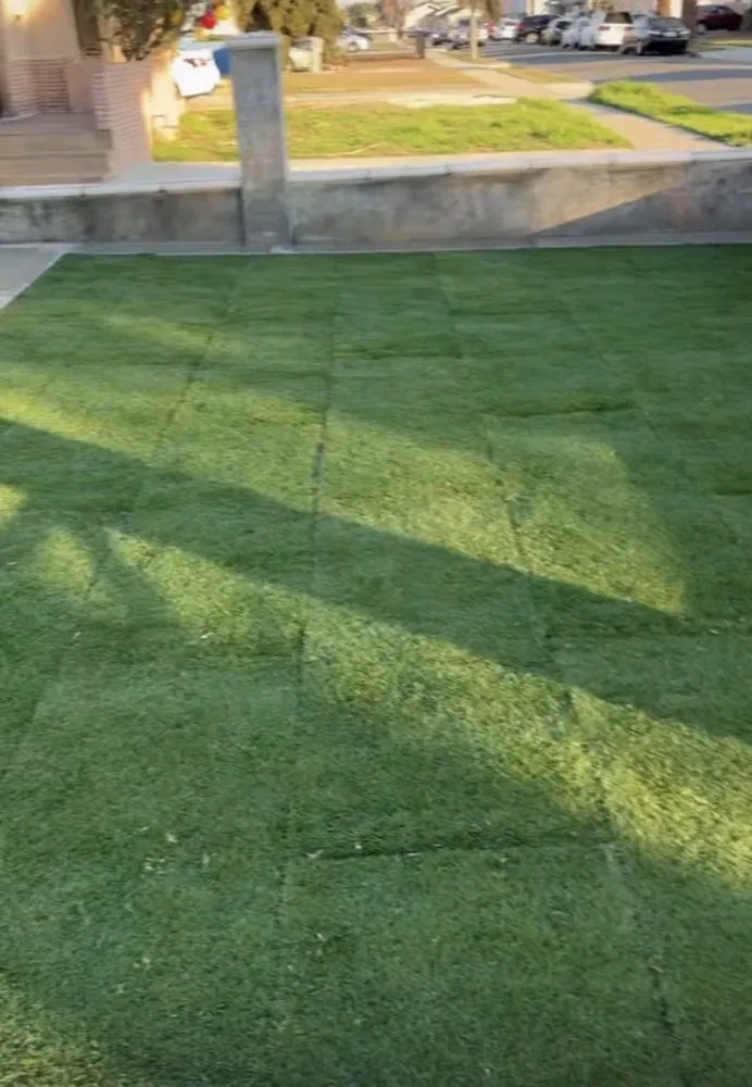 Local outdoor landscaping experts serving Los Angeles, CA - Ramirez Artscape