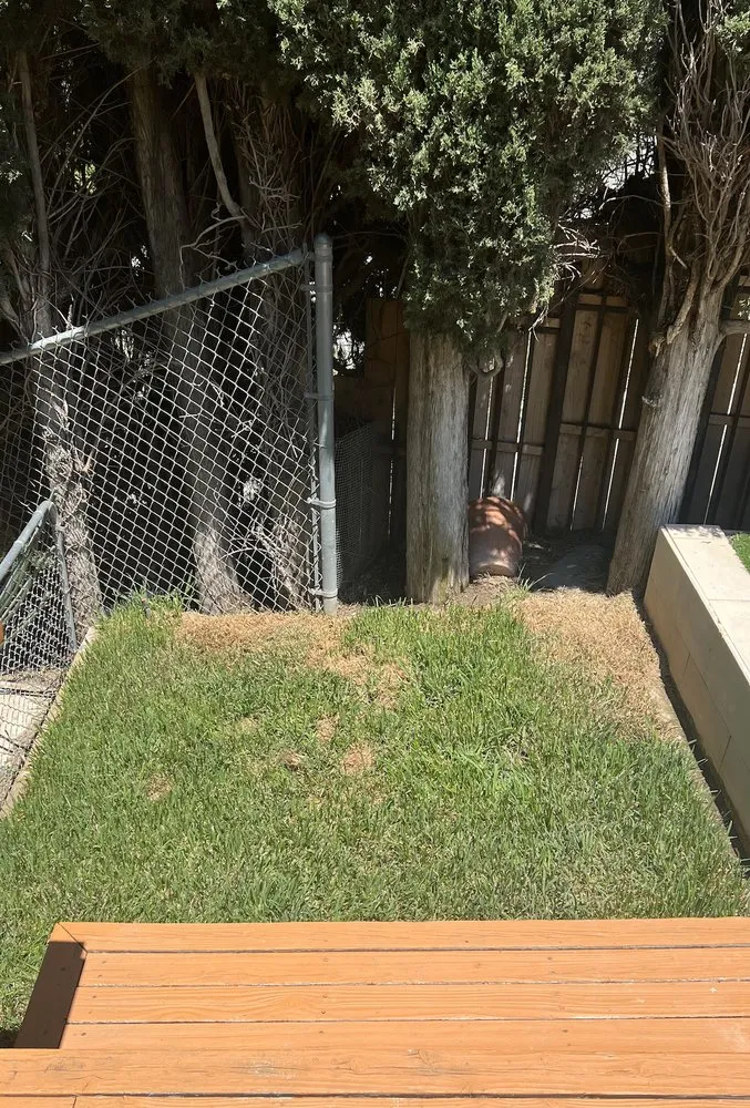 Top-rated yard maintenance with custom design in Los Angeles, CA by Ramirez Artscape