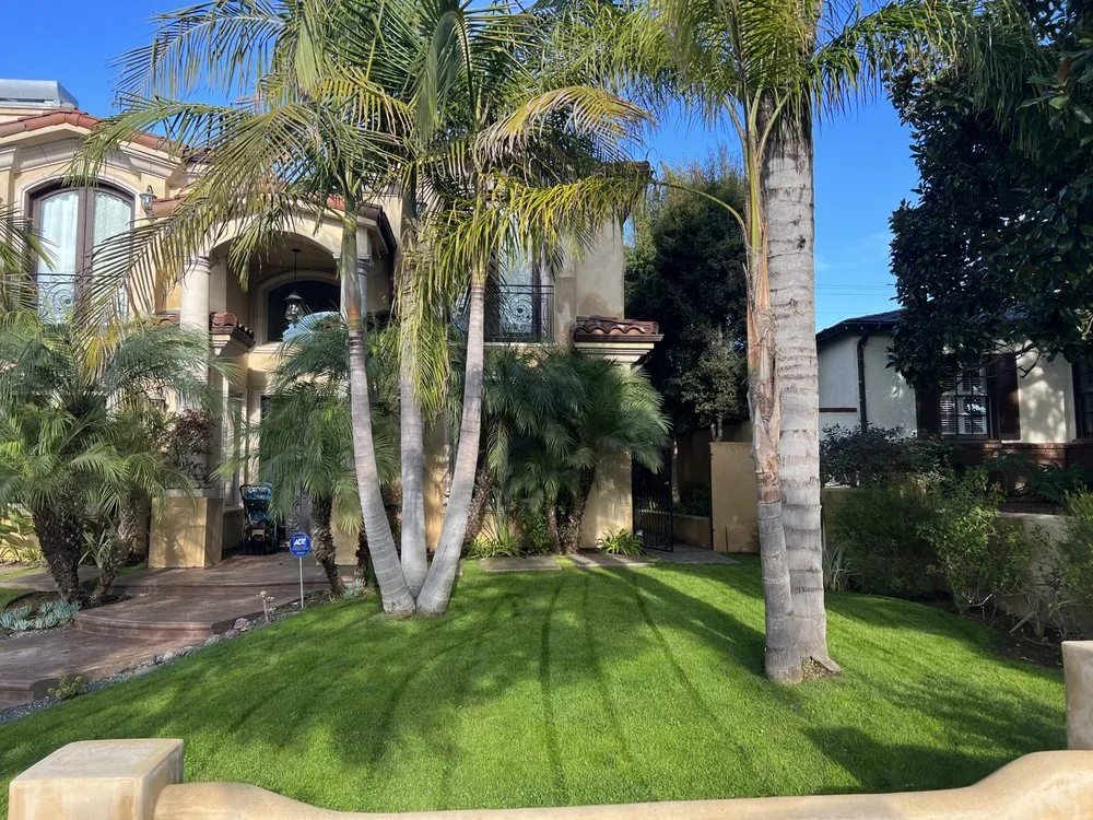 Affordable landscape installation for outdoor upgrades in Los Angeles, CA by Ramirez brothers landscaping