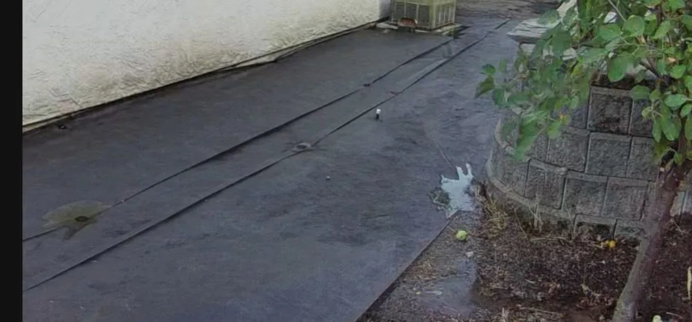 Expert outdoor landscaping for homes in Antioch, CA by Ramirez Brothers Lanscaping