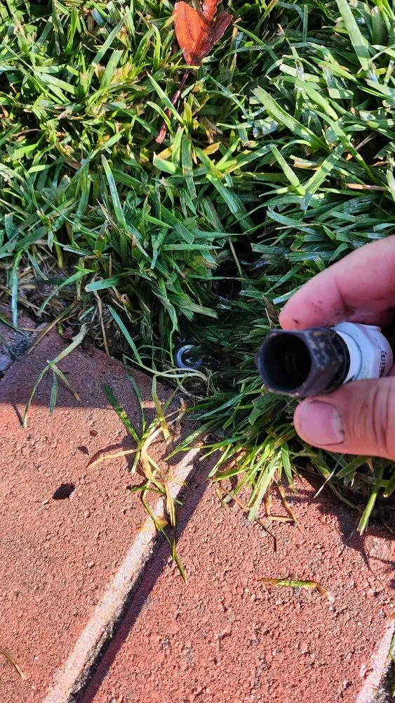 Custom lawn mowing service in Antioch, CA - Ramirez Brothers Lanscaping