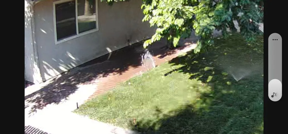 Trusted lawn care service in Antioch, CA - Ramirez Brothers Lanscaping