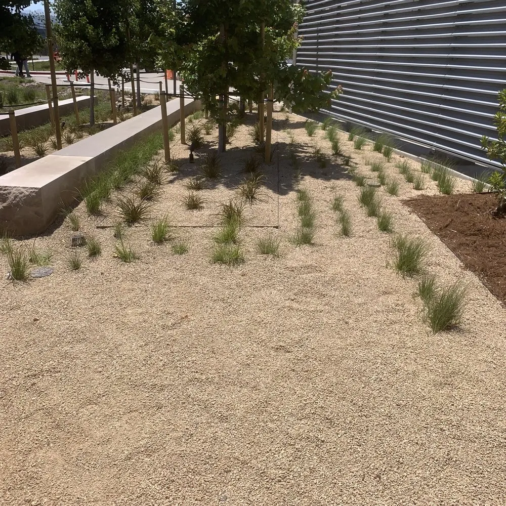 Expert yard maintenance in Antioch, CA by Ramirez Brothers Lanscaping