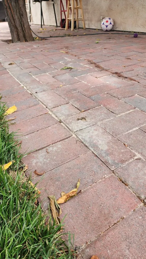 Affordable yard cleanup service for beautiful yards across Antioch, CA - Ramirez Brothers Lanscaping