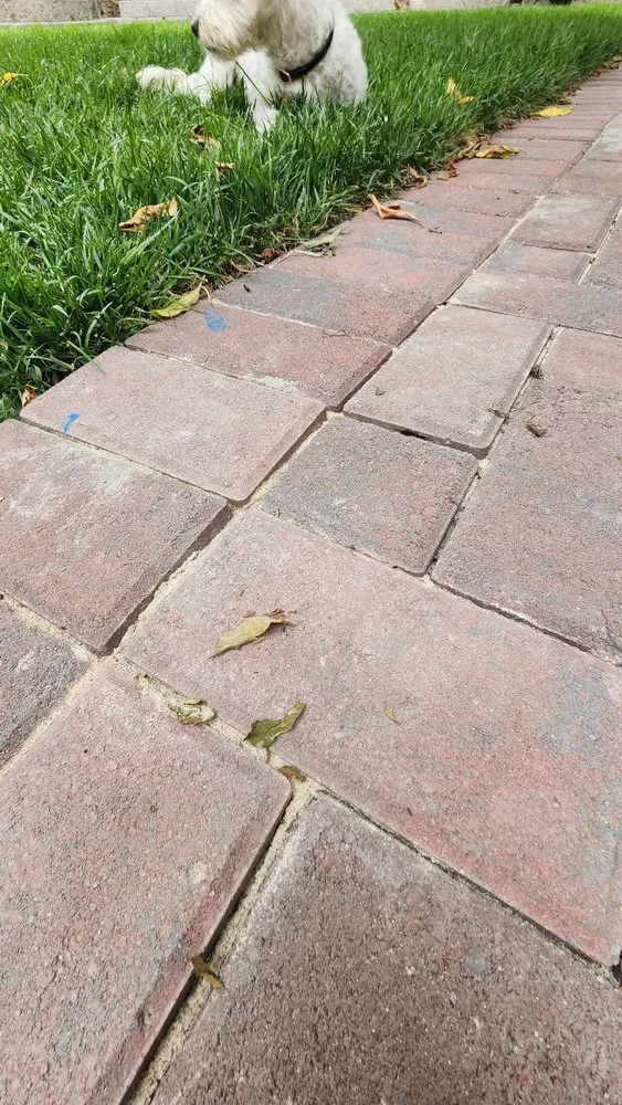 Local yard maintenance experts serving Antioch, CA - Ramirez Brothers Lanscaping