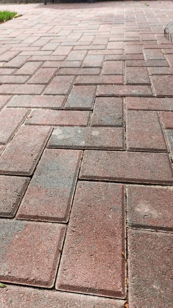 Affordable landscaping services experts serving Antioch, CA - Ramirez Brothers Lanscaping