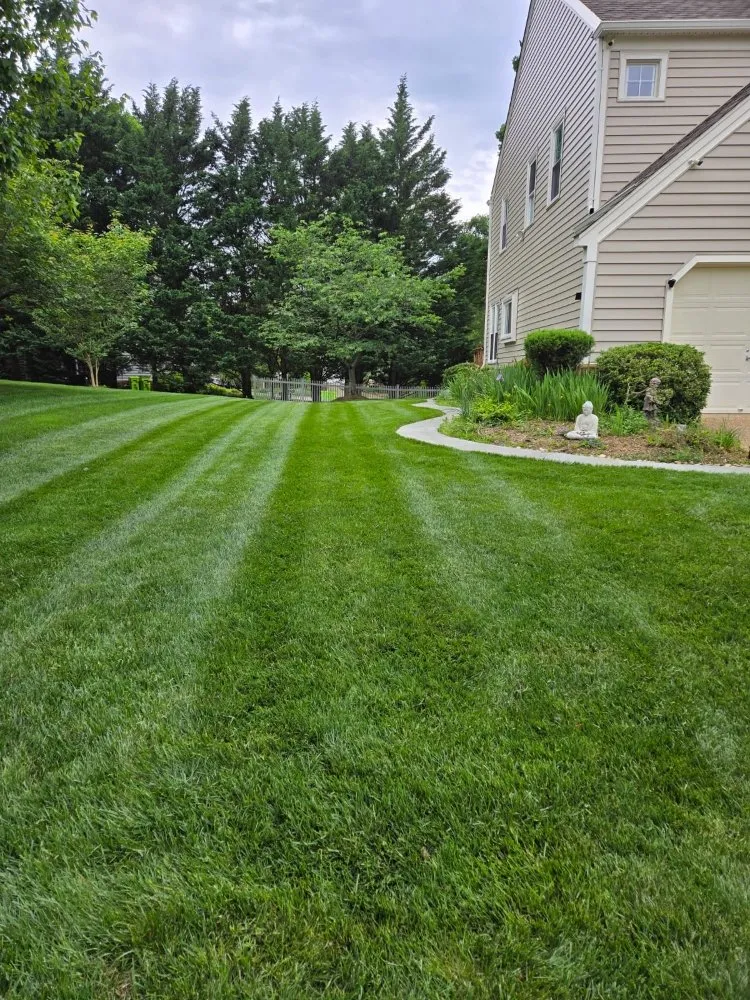 Reliable lawn care service in Community, VA by Ramirez Cleaning Service