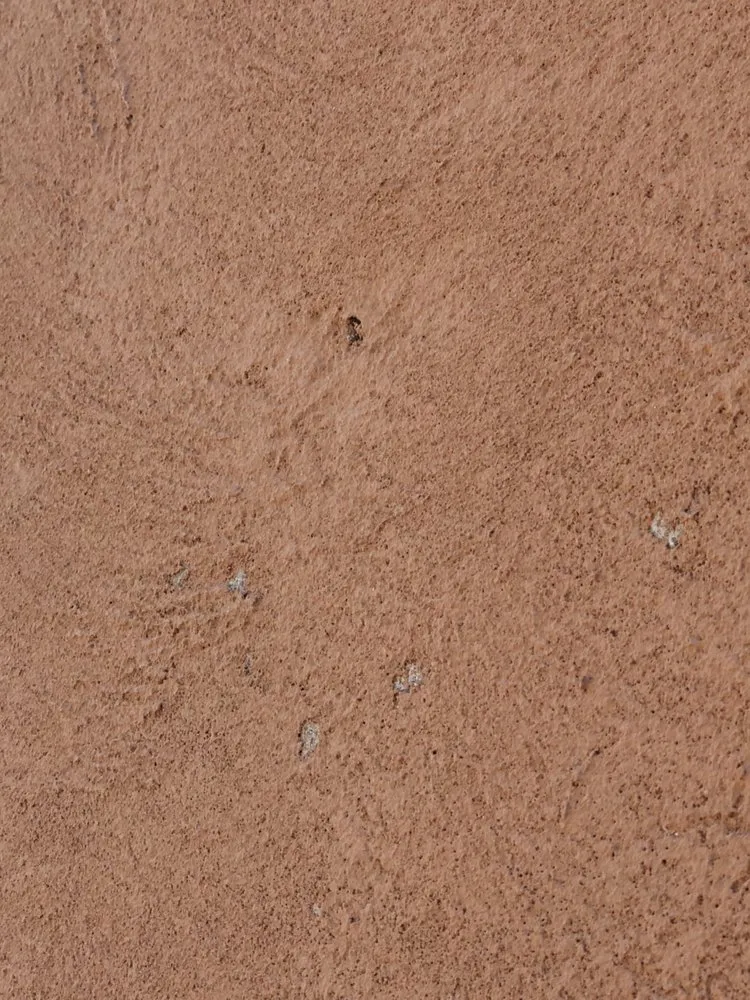 Affordable yard cleanup service in Santa Fe, NM - Ramirez construction and Landscaping