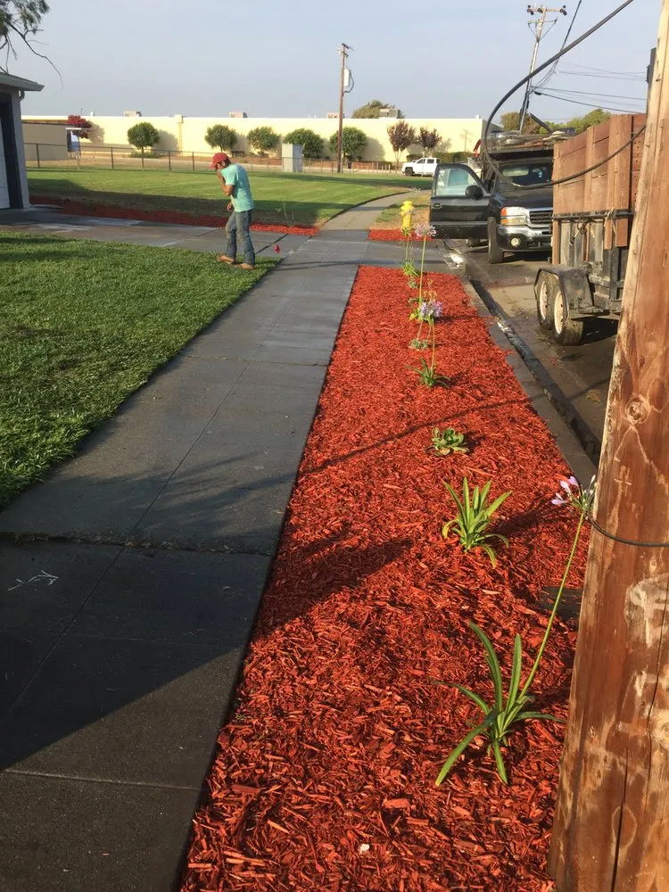 Local landscaping services for residential properties across Newark, CA - Ramirez Corporation Gardening Service