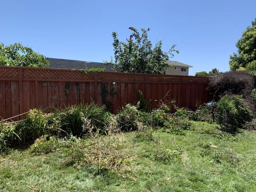 Reliable landscaping services in Newark, CA - Ramirez Corporation Gardening Service
