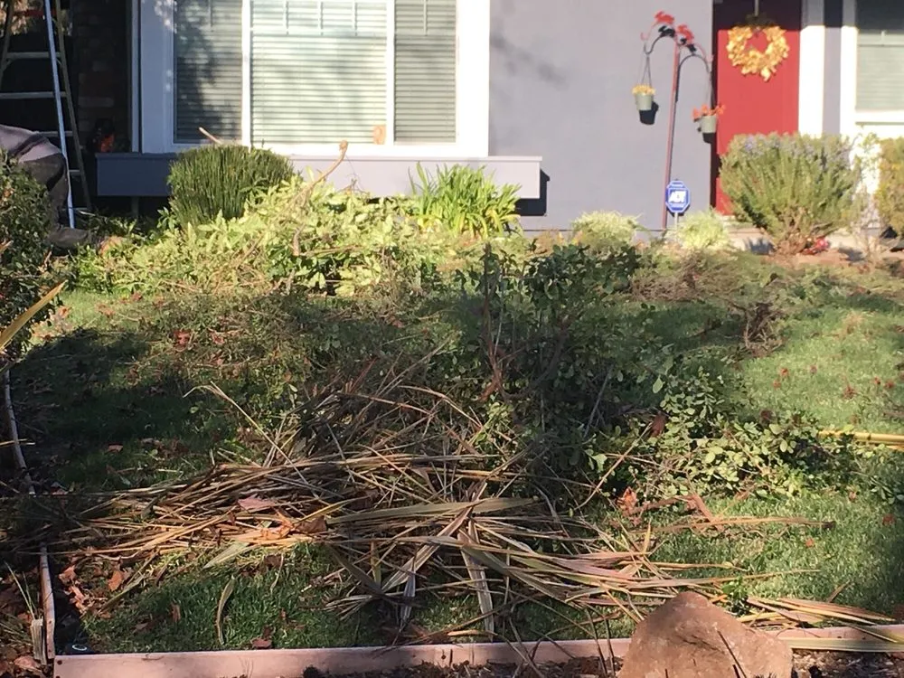 Top-rated lawn mowing service in Newark, CA - Ramirez Corporation Gardening Service