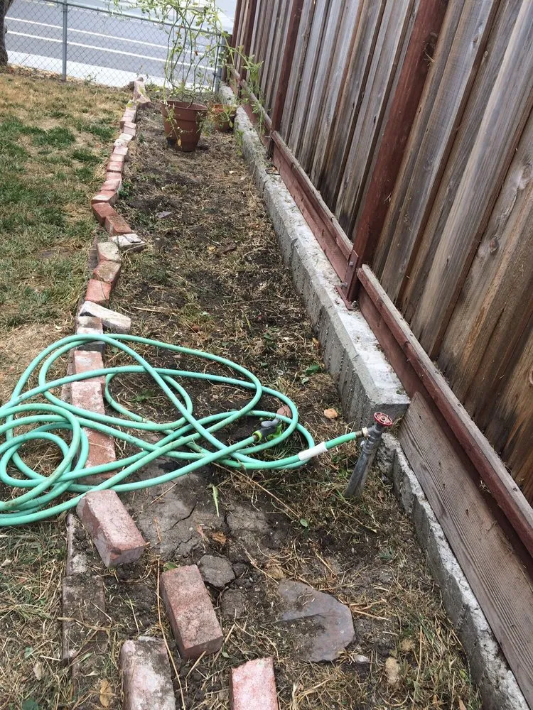 Professional outdoor landscaping in Newark, CA - Ramirez Corporation Gardening Service