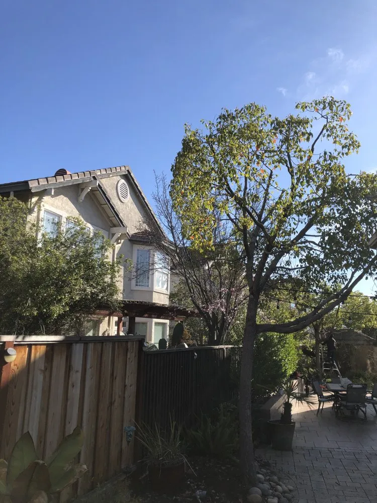 Affordable lawn mowing service in Newark, CA - Ramirez Corporation Gardening Service