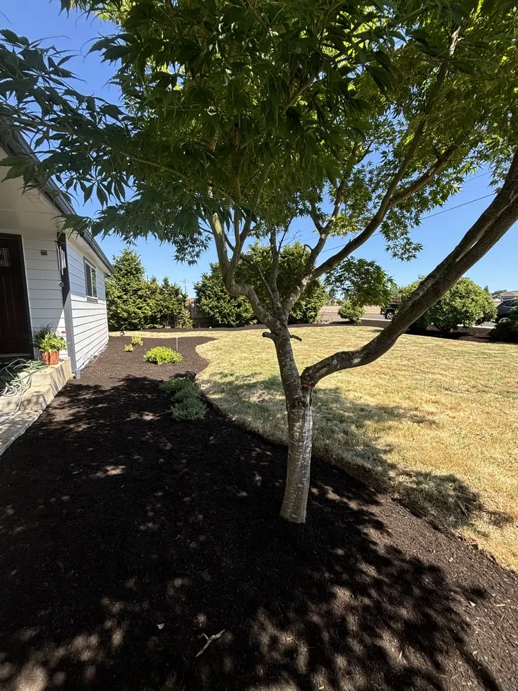 Local yard maintenance with custom design across Aumsville, OR - Ramirez Family Landscaping & Lawn Care Service