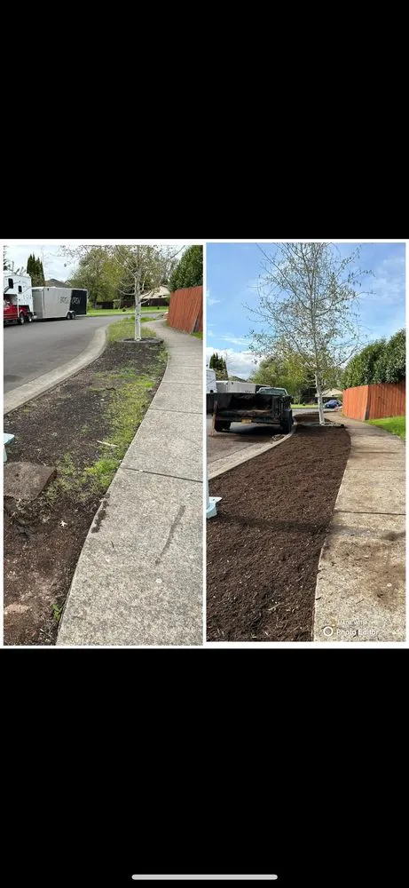 Top-rated outdoor landscaping in Aumsville, OR by Ramirez Family Landscaping & Lawn Care Service