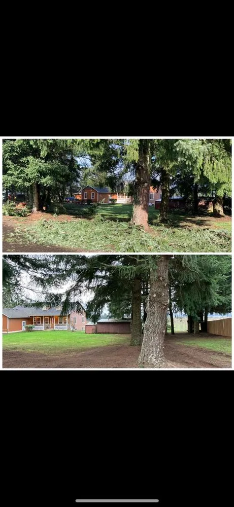 Affordable outdoor landscaping in Aumsville, OR by Ramirez Family Landscaping & Lawn Care Service