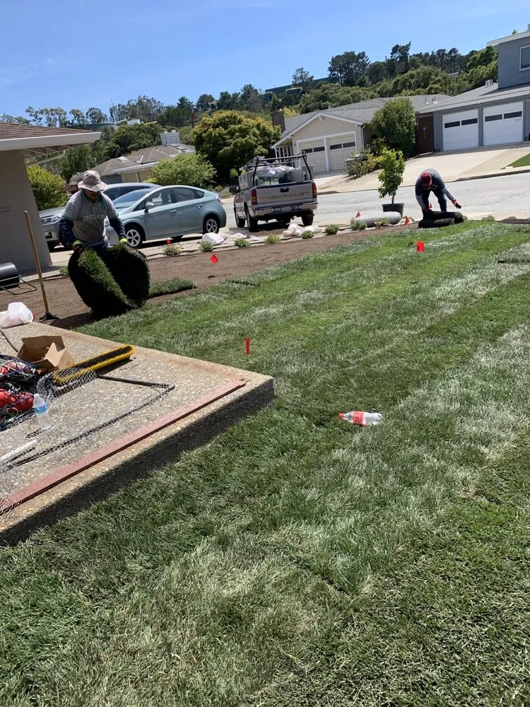 Affordable landscape design for residential properties across San Mateo, CA - Ramirez Garden Service & Landscape