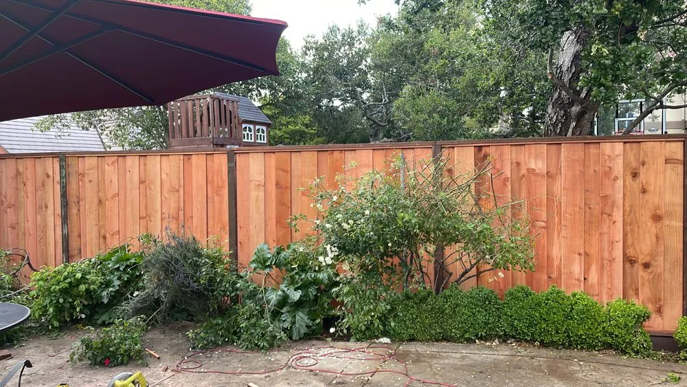 Professional outdoor landscaping in San Mateo, CA by Ramirez Garden Service & Landscape