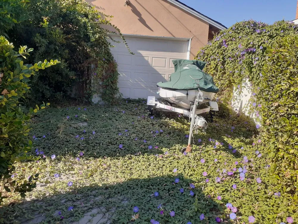 Professional lawn mowing service experts serving La Habra, CA - Ramirez Gardening