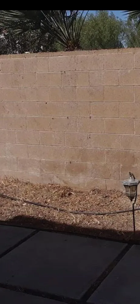 Trusted lawn care service near you in La Habra, CA by Ramirez Gardening