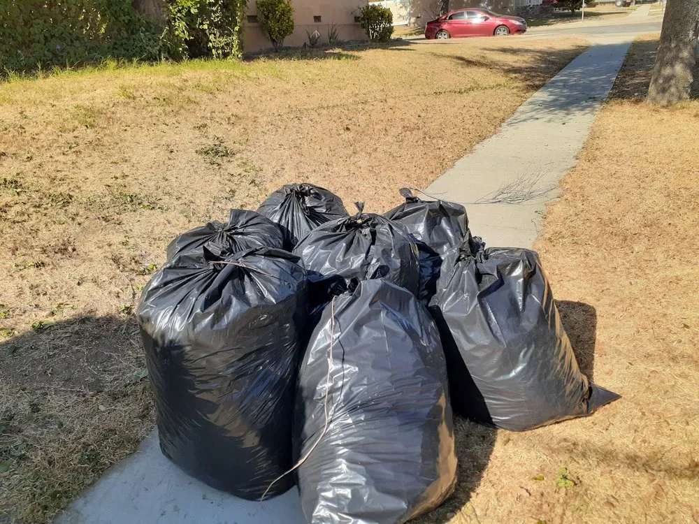 Professional landscape design in La Habra, CA by Ramirez Gardening