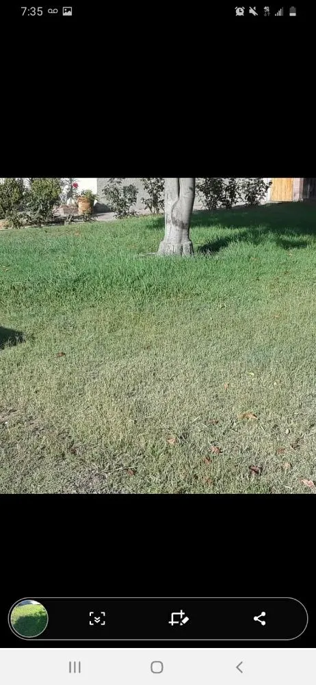 Reliable landscape installation in La Habra, CA by Ramirez Gardening