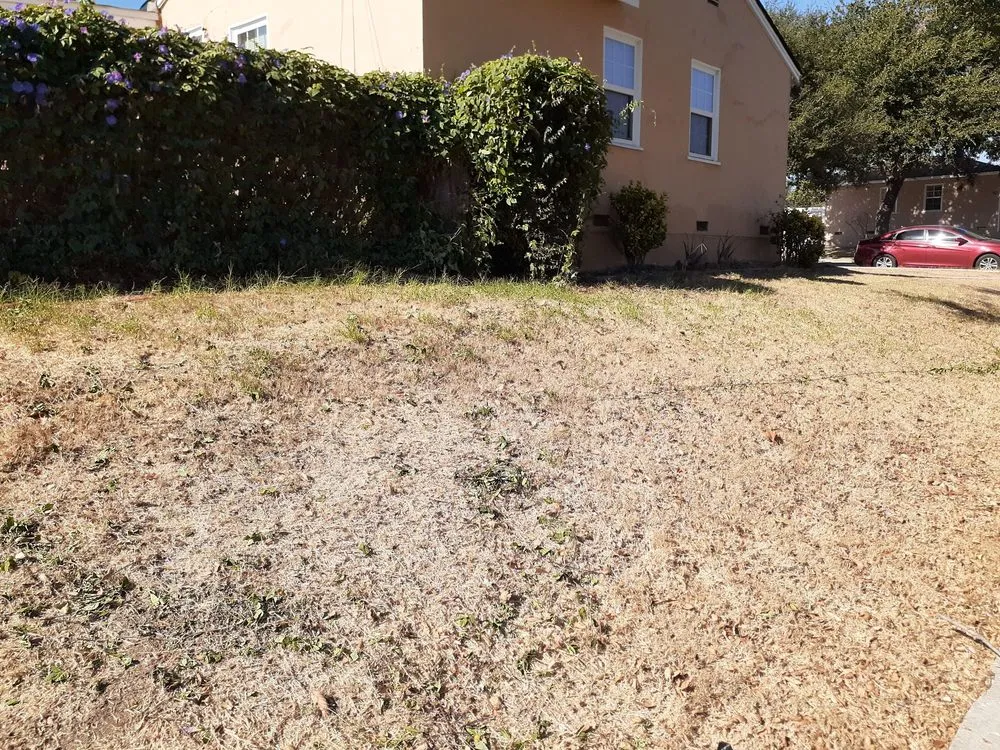 Expert lawn care service in La Habra, CA - Ramirez Gardening