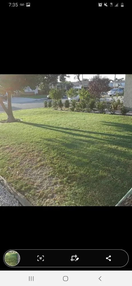 Local residential landscaping in La Habra, CA by Ramirez Gardening