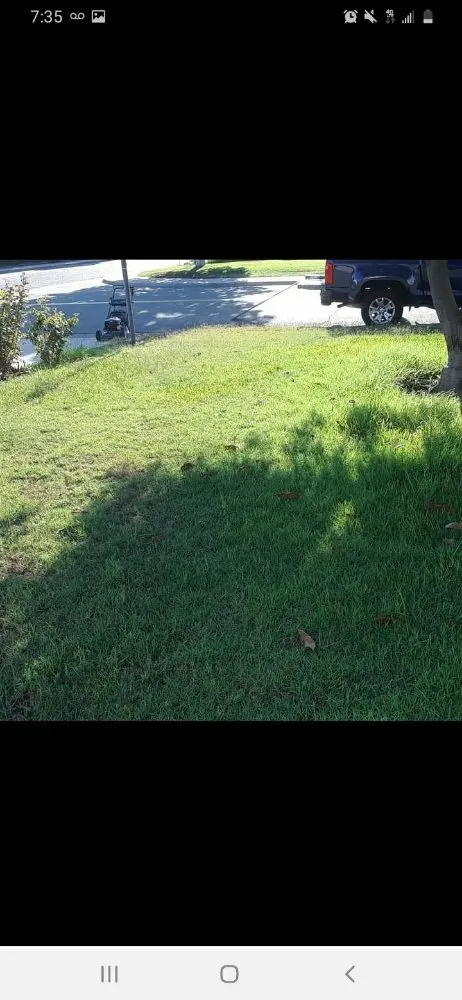 Professional lawn mowing service for residential properties across La Habra, CA - Ramirez Gardening