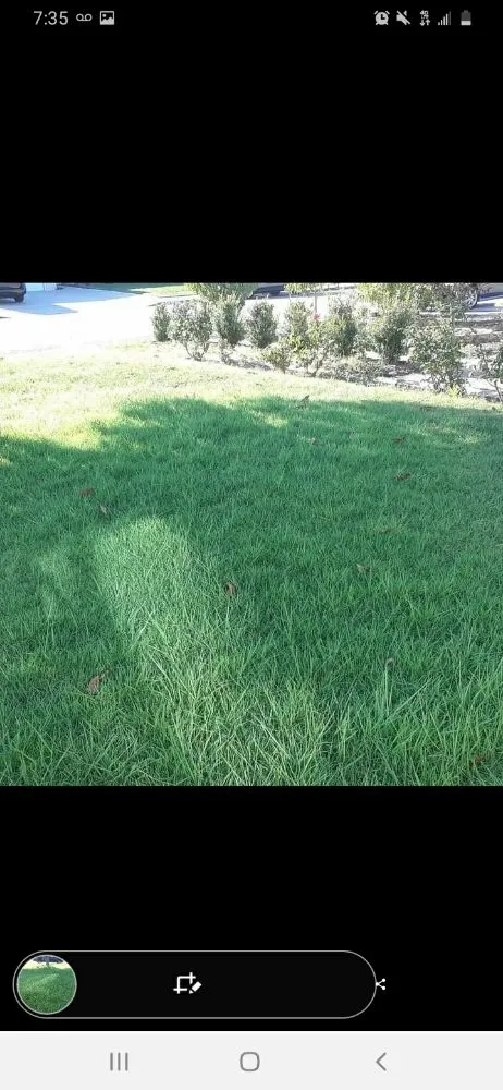 Reliable lawn mowing service near you in La Habra, CA by Ramirez Gardening
